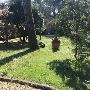 Old Town In The Green: Federico's Apartment. Appartement Florence